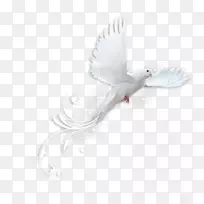 ��ë�-��ë-������