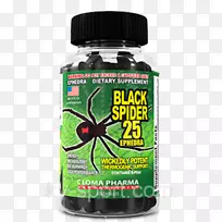 蜘蛛南方黑寡妇价格膳食补充剂麻黄蜘蛛-空若网 蜘蛛南方黑寡妇价格膳食补充剂麻黄蜘蛛-空若网