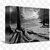 ������Ӱ����ľ��Ʒ��Ӱ.ľ��-������