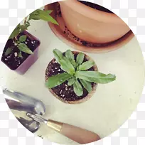 ����ʳƷ�;�.̩����ҩ-������