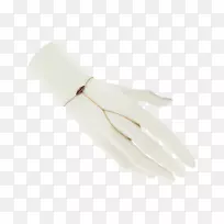 ����yprem�鱦��ָ����-������