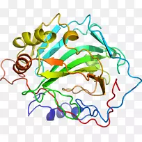 线点生物剪贴画线-空若网 线点生物剪贴画线-空若网