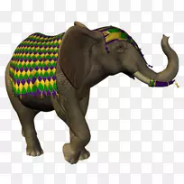 印度象非洲象埃及象-空若网 印度象非洲象埃及象-空若网