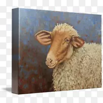 羊的鼻子画杰弗里角-羊-空若网 羊的鼻子画杰弗里角-羊-空若网
