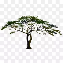 萨凡纳剪贴画-草原树PNG剪贴画-空若网 萨凡纳剪贴画-草原树PNG剪贴画-空若网