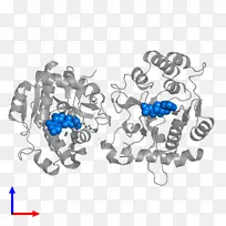 艺术体珠宝字体-珠宝-空若网 艺术体珠宝字体-珠宝-空若网
