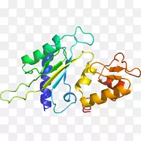 线点生物剪贴画线-空若网 线点生物剪贴画线-空若网