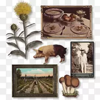 �����˵����Ѿ�����-�˵�-������