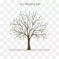 ����ָ�����Բ���-��ɫӢ�Ķ���������-������