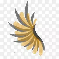 开花植物黑翅-空若网 开花植物黑翅-空若网