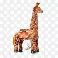 ����¹½�����ﳤ��¹-������