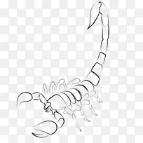 ����������ͨ��ָ������Ы�ӿ�ͨ-������