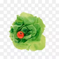 叶菜番茄-绿叶蔬菜-空若网 叶菜番茄-绿叶蔬菜-空若网