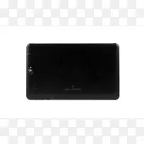 电子多媒体黑蕨类植物-空若网 电子多媒体黑蕨类植物-空若网