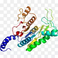 人体珠宝有机体线条剪贴画.珠宝-空若网 人体珠宝有机体线条剪贴画.珠宝-空若网