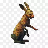 袋鼠野兔陆生动物野生动物袋鼠-空若网 袋鼠野兔陆生动物野生动物袋鼠-空若网