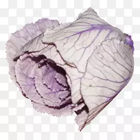 蔬菜紫红卷心菜-漂亮的紫色蔬菜-空若网 蔬菜紫红卷心菜-漂亮的紫色蔬菜-空若网