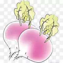 �����ܲ�������ܲ��߲�-������