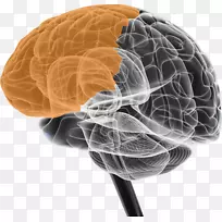 �������񾭿�ѧ��ή����Ԫ-��-������