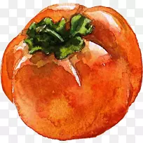 水彩画杨桃水果插图.插图蔬菜-空若网 水彩画杨桃水果插图.插图蔬菜-空若网