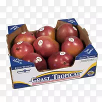 ��ȻʳƷ����ʳƷƻ��â����-������