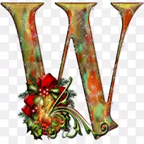 ʥ������ĸ����-ʥ����-������