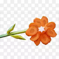 胡萝卜、蔬菜、花卉、蔬菜-空若网 胡萝卜、蔬菜、花卉、蔬菜-空若网