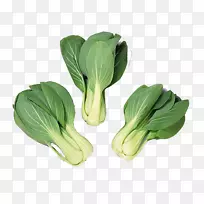 °×²Ë¸ÊÀ¶-ÐÂÏÊÊß²Ë-¿ÕÈôÍø °×²Ë¸ÊÀ¶-ÐÂÏÊÊß²Ë-¿ÕÈôÍø