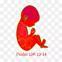 ���ﶯ�������ɺ�-������