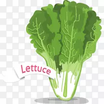 春绿芹菜园生菜蔬菜手绘蔬菜-空若网 春绿芹菜园生菜蔬菜手绘蔬菜-空若网