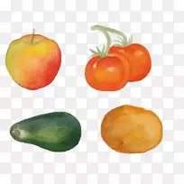 番茄素食料理柿子食品蔬菜和水果-空若网 番茄素食料理柿子食品蔬菜和水果-空若网