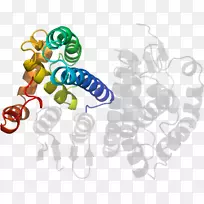 无脊椎动物食物剪贴画线-空若网 无脊椎动物食物剪贴画线-空若网