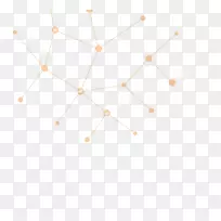 ֱ�ߵ����-������