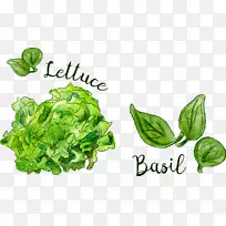 叶食春绿.手绘蔬菜-空若网 叶食春绿.手绘蔬菜-空若网