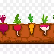 �߲˺�����԰��������ͨ�����߲�-������