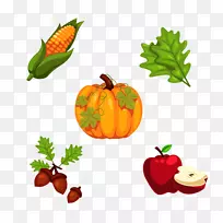 火鸡感恩节南瓜派-水果和蔬菜-空若网 火鸡感恩节南瓜派-水果和蔬菜-空若网