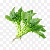 ����԰�߲�-������