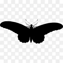 蝴蝶昆虫剪贴画-蝴蝶-空若网 蝴蝶昆虫剪贴画-蝴蝶-空若网