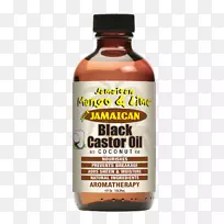 牙买加菜牙买加芒果和石灰牙买加黑蓖麻油澳大利亚油-空若网 牙买加菜牙买加芒果和石灰牙买加黑蓖麻油澳大利亚油-空若网