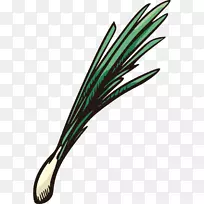 蔬菜葱水果-手绘,棒形,水果和蔬菜,卡通-空若网 蔬菜葱水果-手绘,棒形,水果和蔬菜,卡通-空若网