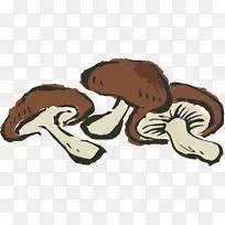 �ֻ��߲�ѧǰѧϰ�ֻ����ˮ���߲˿�ͨ-������