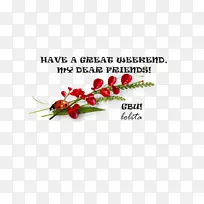 木叶科开花植物-空若网 木叶科开花植物-空若网