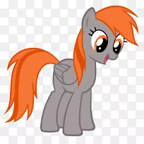 �ʺ�����-��ɫ������-������