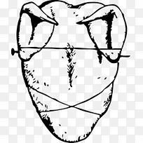 鸡块烤鸡作为食物-鸡-空若网 鸡块烤鸡作为食物-鸡-空若网