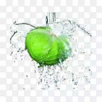 ��ײ˻�Ҭ���߲�ʳƷ�߲˷���-������