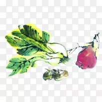 水墨画植物水彩画蔬菜食品-空若网 水墨画植物水彩画蔬菜食品-空若网