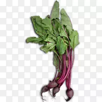 沙地春菜菠菜菜园大黄绿色蔬菜-空若网 沙地春菜菠菜菜园大黄绿色蔬菜-空若网