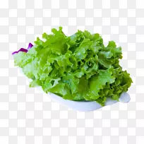 生菜叶蔬菜-绿色蔬菜-空若网 生菜叶蔬菜-绿色蔬菜-空若网