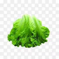 生菜蔬菜食品创意蔬菜-空若网 生菜蔬菜食品创意蔬菜-空若网