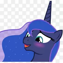 胡须,鼻子,猫,丙氨酸转氨酶,马猫-空若网 胡须,鼻子,猫,丙氨酸转氨酶,马猫-空若网